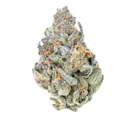 Pruf Cultivar Electric Blue #5