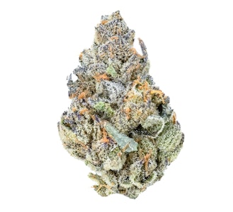 Pruf Cultivar - Pruf Cultivar Electric Blue #5