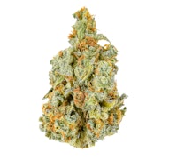 Pruf Cultivar Island Blends #10