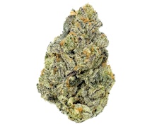 Hecate Gardens Electric R*ntz