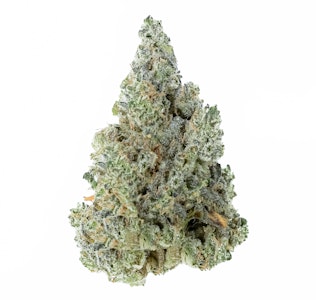 Hecate Gardens - Hecate Gardens Golden Gunchest