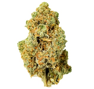 Hecate Gardens - Hecate Gardens King Jack