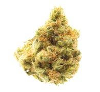 Pruf Cultivar TriDog