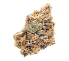 Pruf Cultivar Pinky's Brain