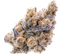 Pruf Cultivar Midnight Cherries