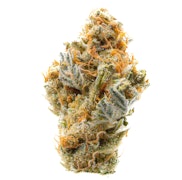 Pruf Cultivar Apples and Bananas