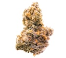Pruf Cultivar Cheetah Cake