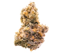 Pruf Cultivar Cheetah Cake
