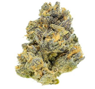 Pruf Cultivar - Pruf Cultivar Two By Four