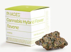 PHASES 3.5g Reverie Muse 