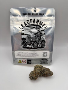 LeadFarmer - LeadFarmer - White Runtz - 17.3% THC - 3.5g - Dry Flower