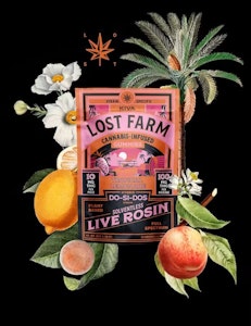 LOST FARM - Lost Farm | Edible | Live Rosin Gummy - Tropical Lemonade x Dos-Si-Dos | 100mg , 10