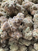 Piescream | Black Dog Cannabis