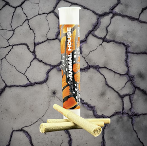 ANIMAL HOUSE - ANIMAL HOUSE | JELLY DONUTZ | 3 PK  INFUSED PREROLL