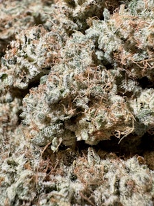 FIREFLY ORGANICS - Albariño | Firefly Organics