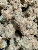 *STRAIN OF THE WEEK* Blue Gotti | Dolph Craft Cannabis