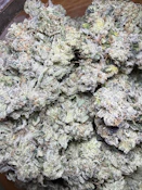 Headbanger | Elevated Green