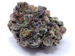 SUPER FRESH FARMS - Bolo Runtz (mediums) Main Image