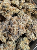 Jobbie Nooner | Concrete Cultivation