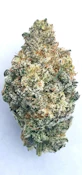 Cap Junky | Hybrid