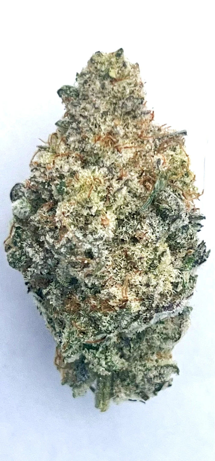 Carver Family Farm - Cap Junky | Hybrid Main Image