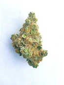 Double Sour Giesel | Sativa