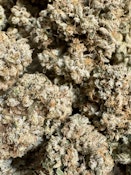 Kosher Kush | Firefly Organics