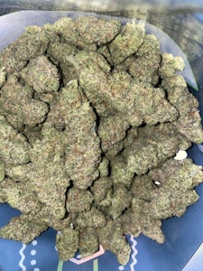 The Mem-o - The - Memo Johnny Dang Deli Flower