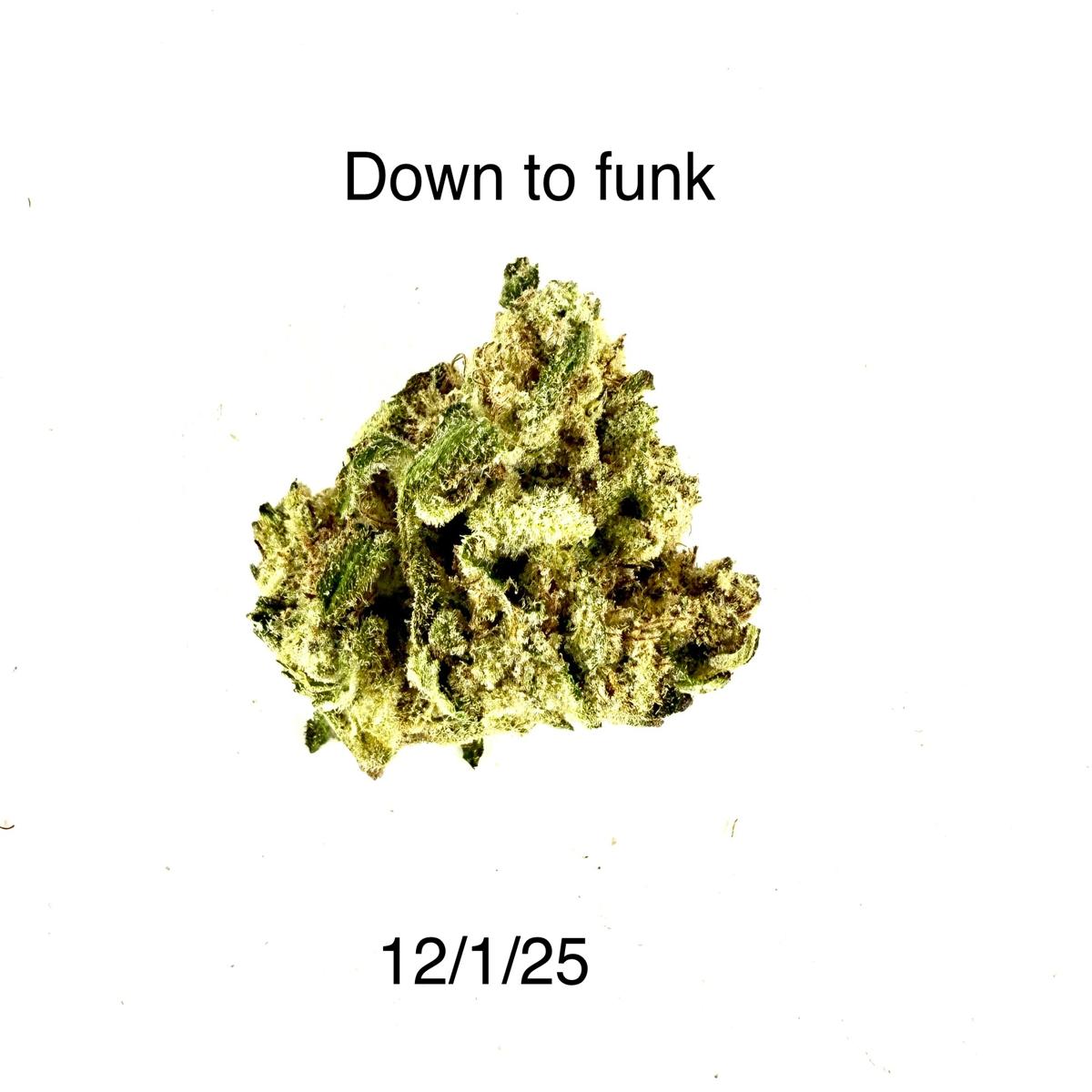 Down To Funk flower