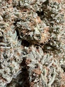 Pineapple Piff | Lobster Fam Farms