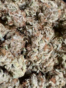 PC3 (Piff Coast 3) | Lobster Fam Farms