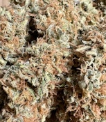 Durban Universe | Brazen Earthworx