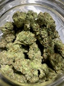 NM Kush Co. Pink Runtz Deli