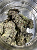 NM Kush Co. Bacio Gelato Deli