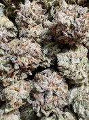 Gas Masque | Best Friend Farms