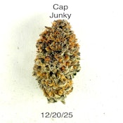 DSC - Cap Junky