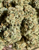 207 Headband | Best Friend Farms