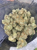 BSD Specialty Farms- Platinum Garlic Breath Deli Flower