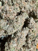 G. Band | Best Friend Farms