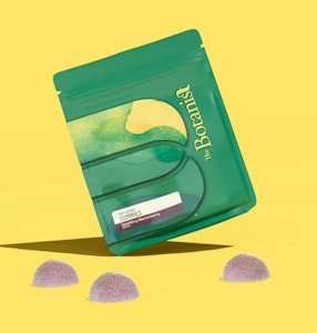 Botanist - The Botanist | Sparkling MarionBerry Gummies | Hybrid 