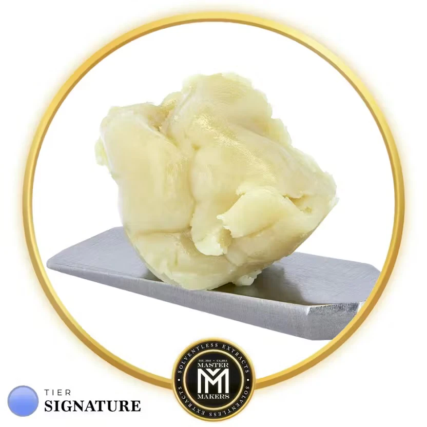 Master Makers - Master Makers - Wax - Key Lime Pie Signature Rosin - 1g Main Image