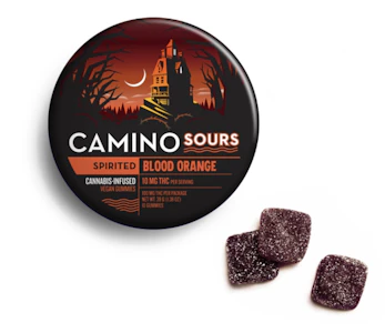 CAMINO - Camino Sours | Spirited | Blood Orange | 10mg per piece