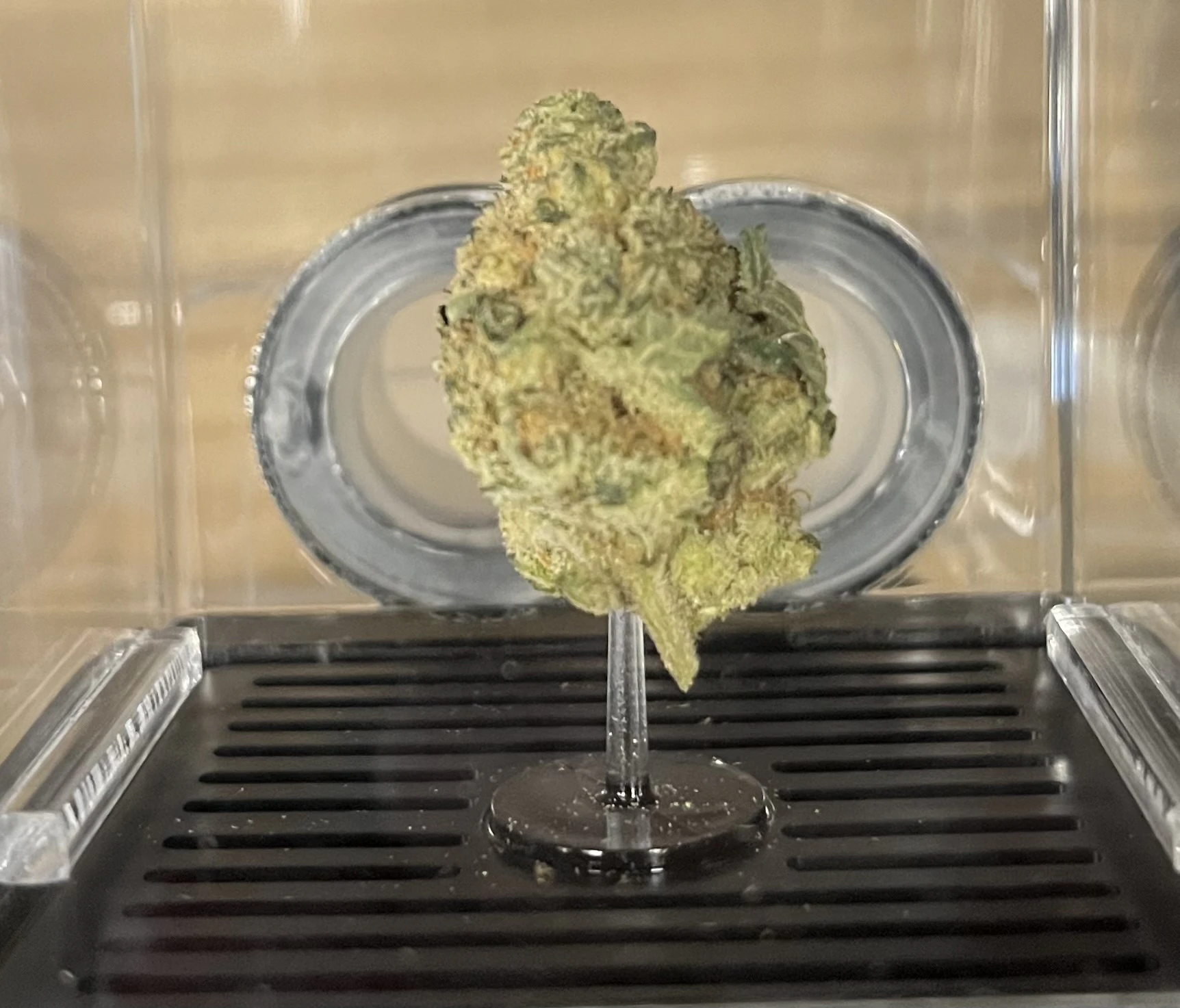 INFINITY STONED - C43 Infinity Stoned Golden Sands Flower 3.5g Main Image