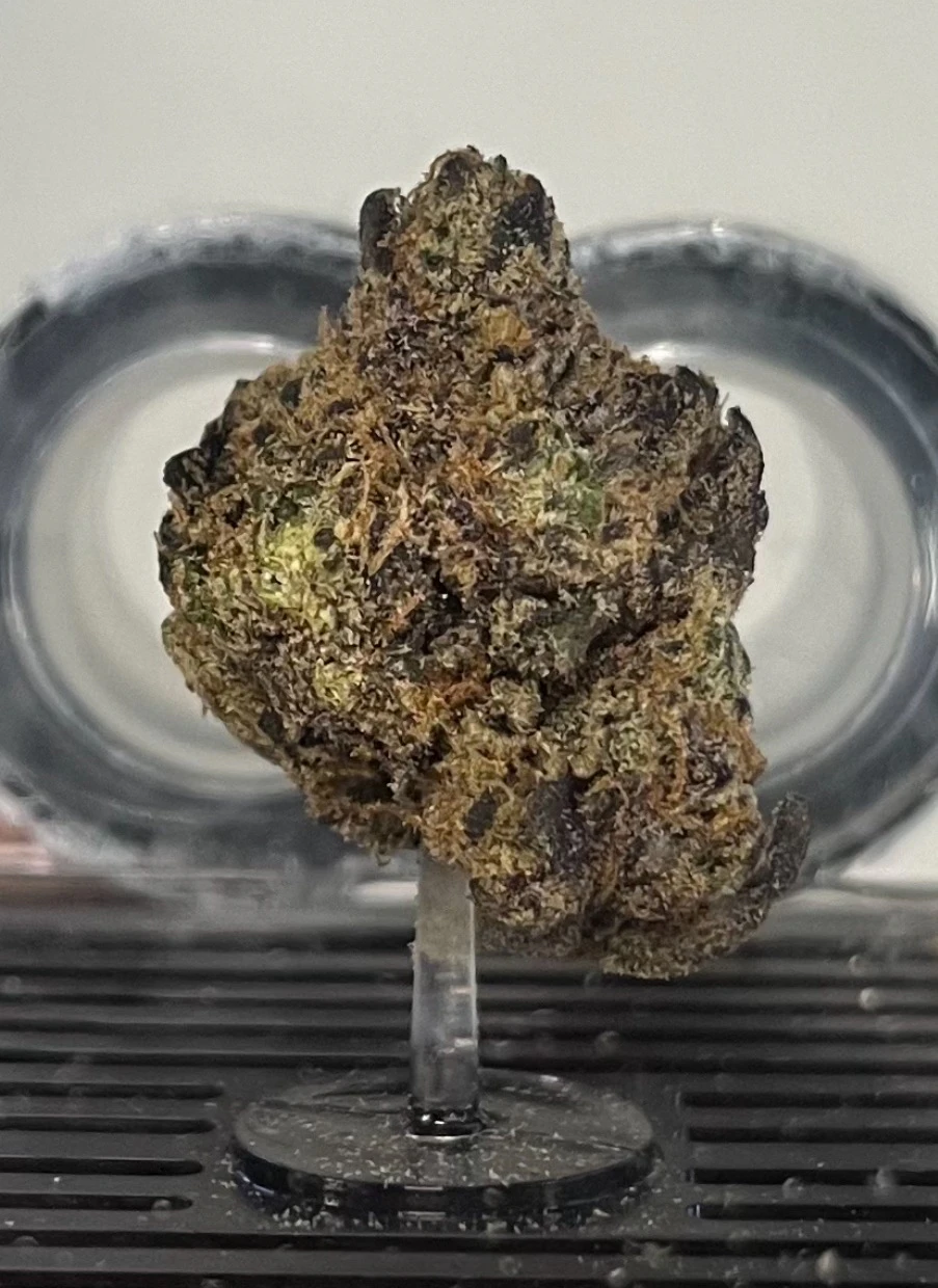 INFINITY STONED - C39 Infinity Stoned Chem Dog #4 Flower 3.5g Main Image