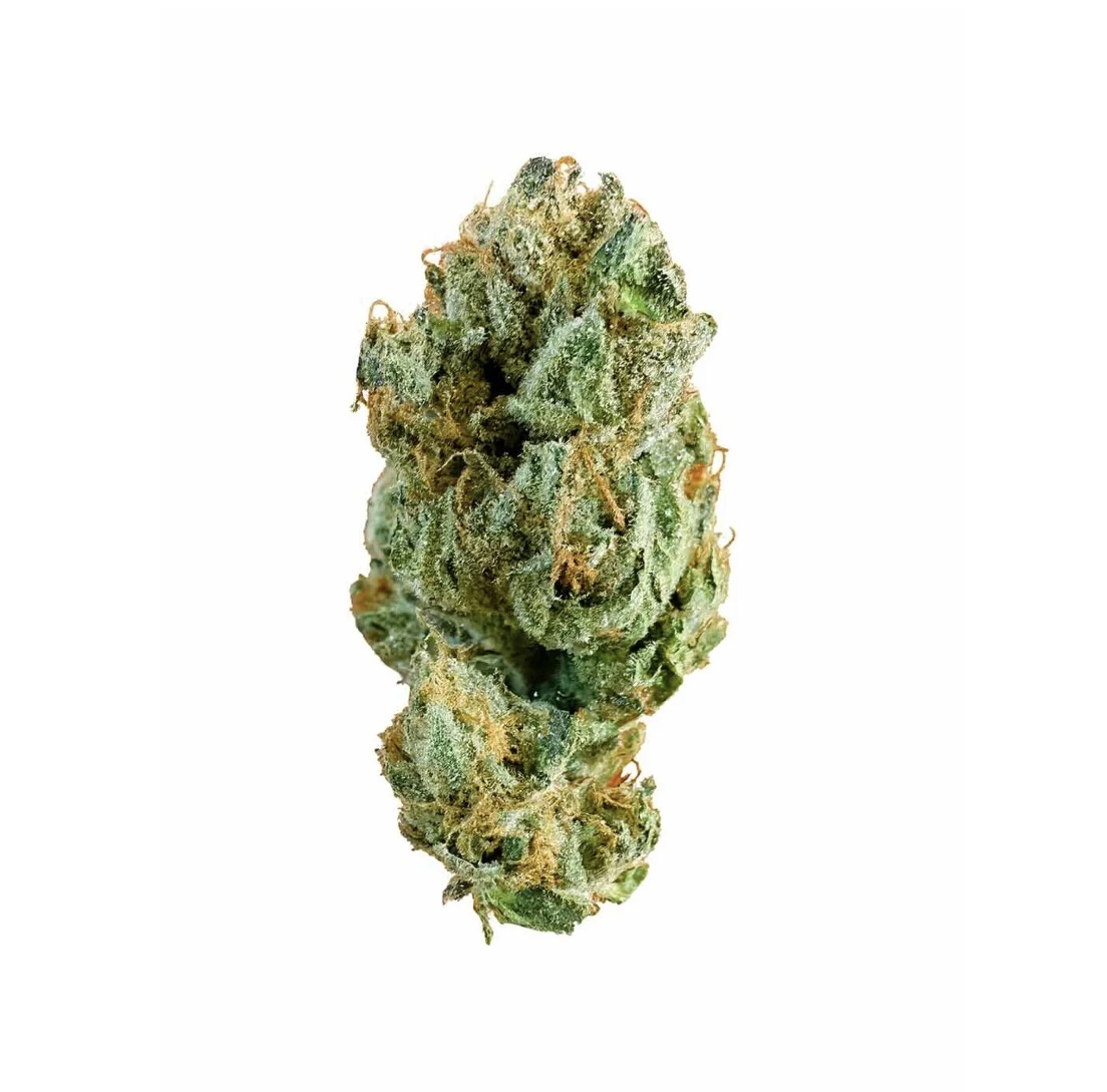 We Grow - We Grow - Flower - Indoor - Gusherz - 14g Main Image