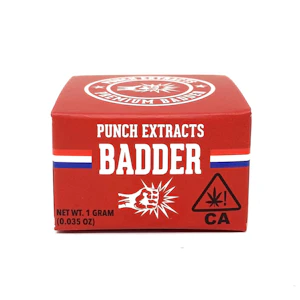 Punch Extracts - Punch BHO GMO Cookies Badder 1g
