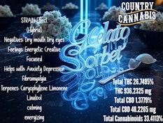 Country Cannabis: Gelato Sorbet 3.5g Indoor Flower