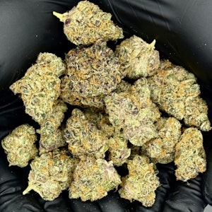 DELI FLOWER CO - SupHerb | GMO Sunset | Deli Style