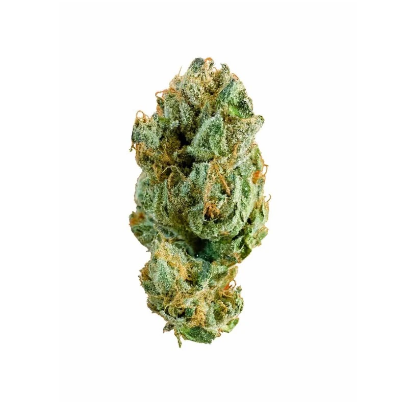We Grow - We Grow - Flower - Warheadz Smalls 7g Main Image