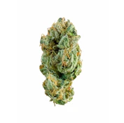 We Grow - Flower - White Gruntz - 3.5g